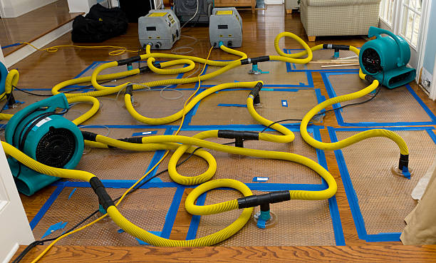 Professional Crawl Space Water Removal technician working in Medway, MA